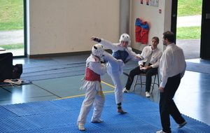 56433b4edba7b_DSC0979.JPG