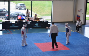 56433b7e137e4_DSC0984.JPG