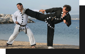 Stage Combat du Cénacle