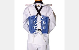 Plastron