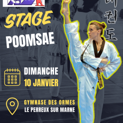 Stage Poomsae