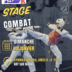 Stage Combat