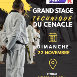 Stage Technique du Cénacle
